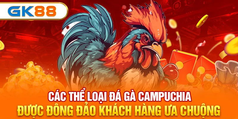 Các thể loại đá gà Campuchia được đông đảo khách hàng ưa chuộng 